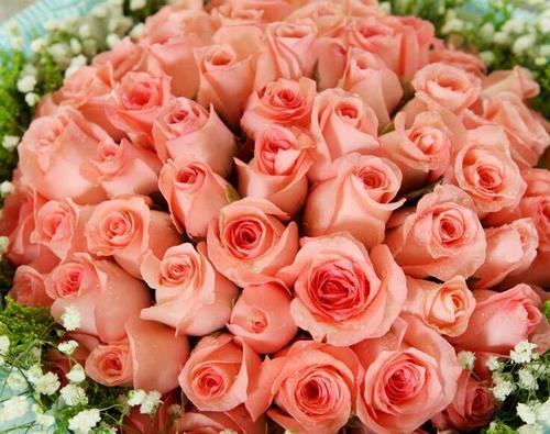 粉玫瑰代表什么意思粉玫瑰花语？